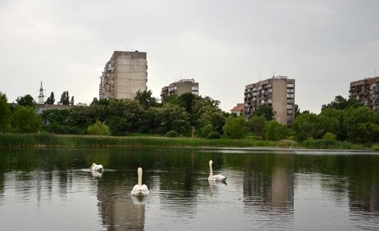 В Ужгороді хочуть зняти документальний фільм про Кірпічку