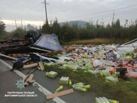 Закарпатець на фурі перекинувся в кювет на Житомирщині: оприлюднено фото (ФОТО)