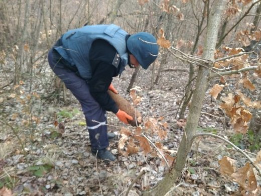 Небезпечні знахідки: на Закарпатті виявили міну та артилерійський снаряд